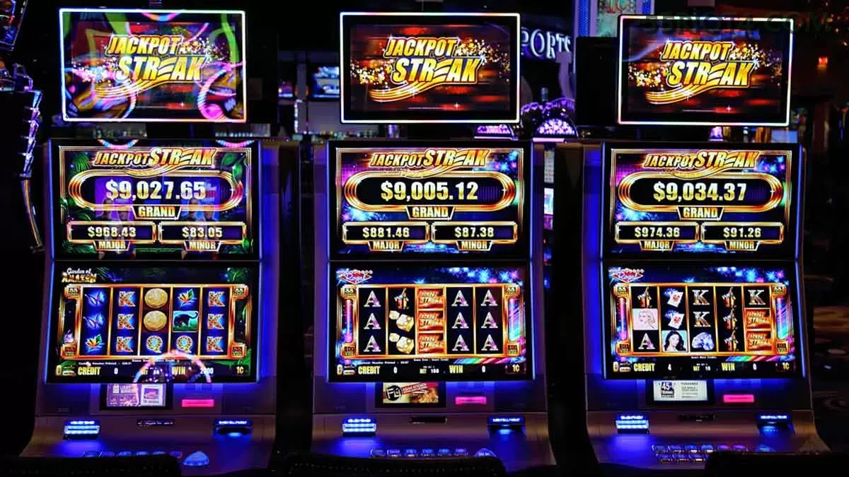 Slots 55rio - Sweet Bonanza e caça-níqueis populares
